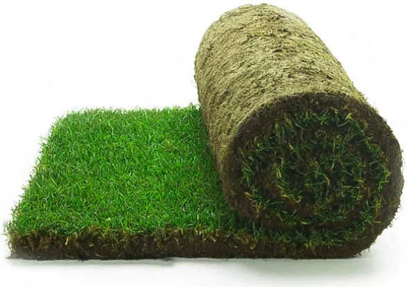 Рулонный газон для города купить в Москве по цене рублей за м2 от производителя