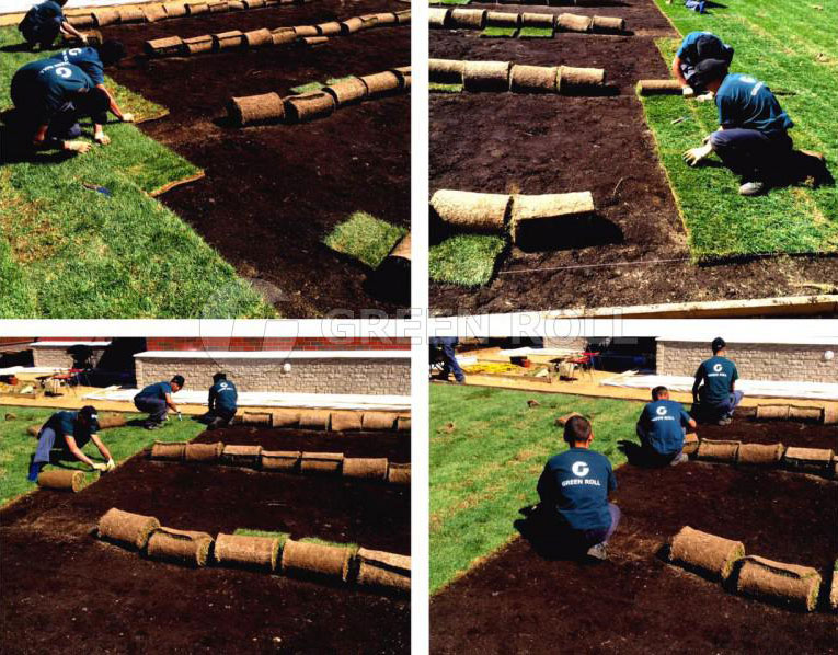 Как сделать газон на даче своими руками: пошаговая инструкция