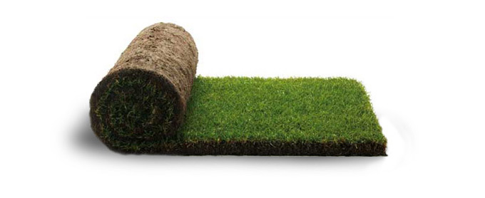 Как сделать газон красивый и ровный – GREEN-ROLL
