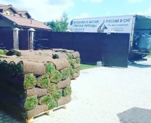 В каком состоянии приезжает рулонный газон для укладки? На что обратить внимание при приёмке? В каком состоянии приезжает рулонный газон для укладки? На что обратить внимание при приёмке?
