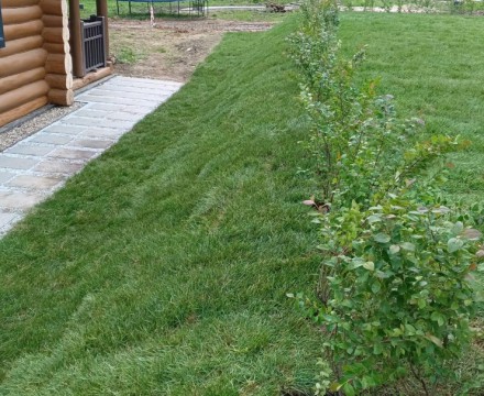 Укладка рулонного газона на склоне Укладка рулонного газона на склоне